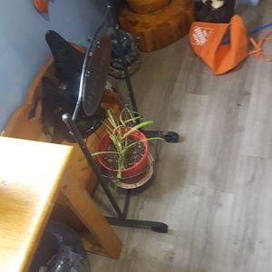 Meet your Posher, Misty